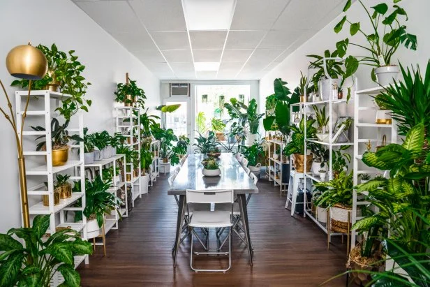 Plant Studio